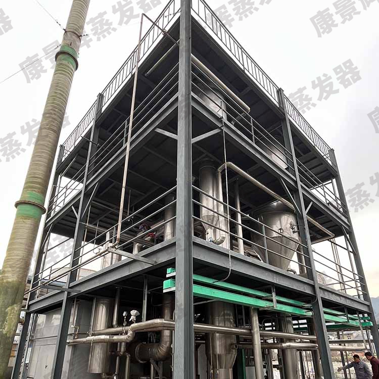 处理量4t/h植物黄姜水解液MVR蒸发浓缩系统