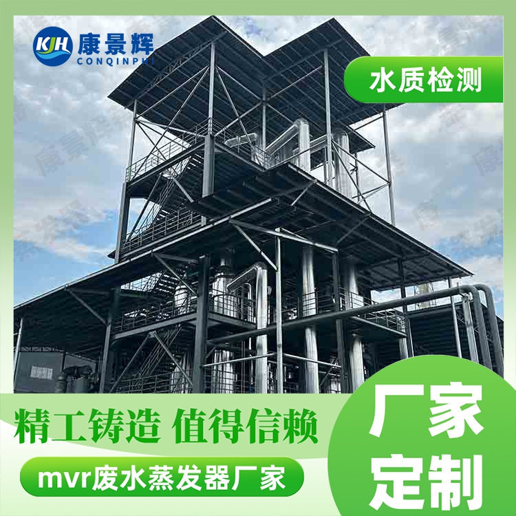 氯化钴蒸发结晶MVR工艺