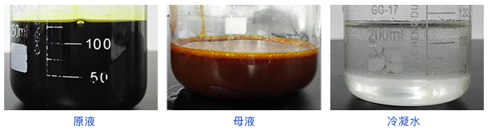 MMV水质实验测试对比图